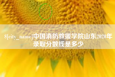 迁西中国消防救援学院山东2020年录取分数线是多少