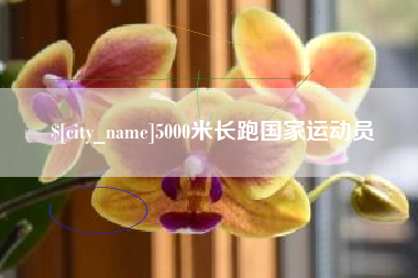 迁西5000米长跑国家运动员