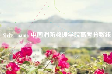 迁西中国消防救援学院高考分数线