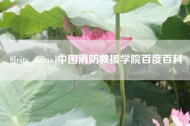 迁西中国消防救援学院百度百科