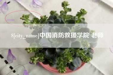 迁西中国消防救援学院 老师