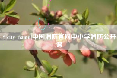 迁西中国消防官网中小学消防公开课