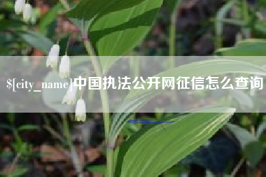 迁西中国执法公开网征信怎么查询