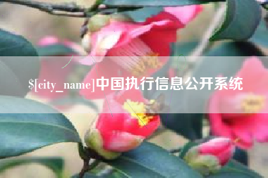 迁西中国执行信息公开系统