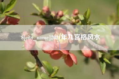 迁西2021年九宫格风水