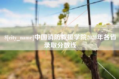 迁西中国消防救援学院2020年各省录取分数线