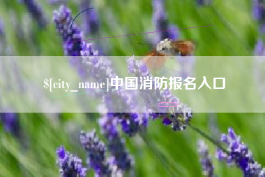 迁西中国消防报名入口