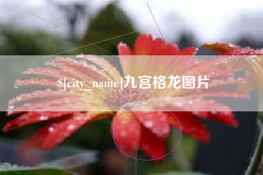 迁西九宫格龙图片