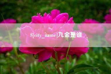 迁西九金是谁
