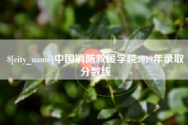 迁西中国消防救援学院2019年录取分数线