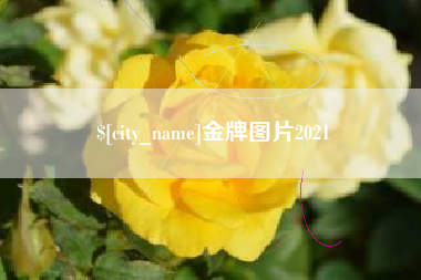 迁西金牌图片2021
