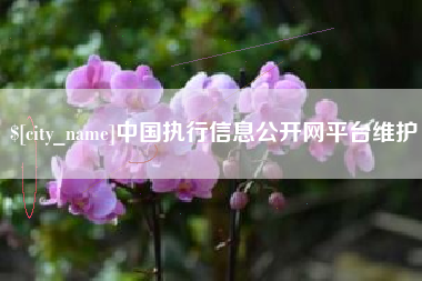 迁西中国执行信息公开网平台维护