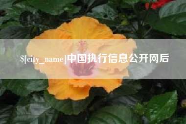 迁西中国执行信息公开网后