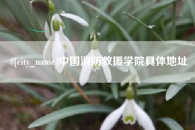 迁西中国消防救援学院具体地址