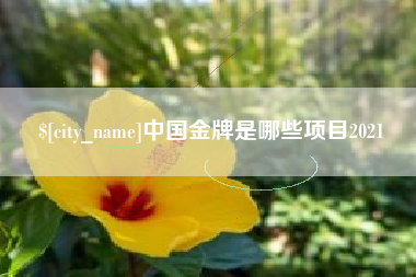 迁西中国金牌是哪些项目2021