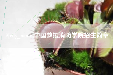 迁西中国救援消防学院招生简章