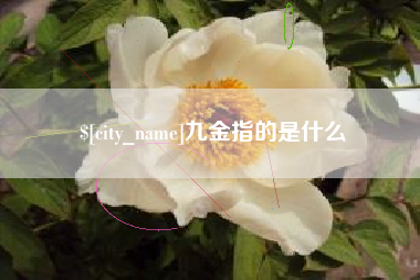 迁西九金指的是什么