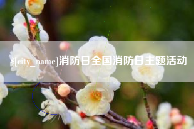 迁西消防日全国消防日主题活动