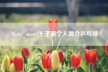 迁西王子豪个人简介乒乓球