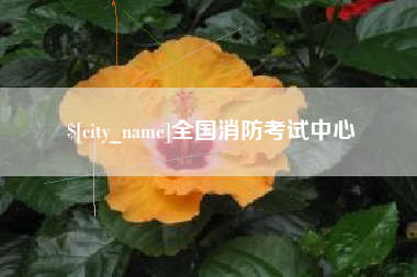 迁西全国消防考试中心