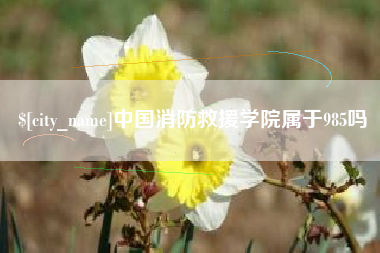 迁西中国消防救援学院属于985吗