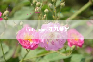 迁西第九金是