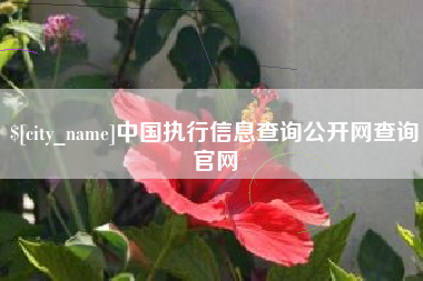 迁西中国执行信息查询公开网查询官网