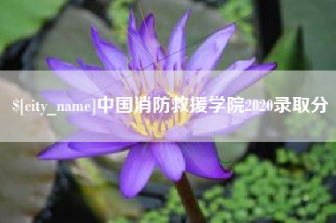 迁西中国消防救援学院2020录取分