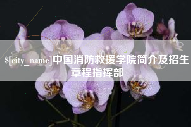 迁西中国消防救援学院简介及招生章程指挥部