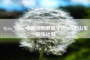 迁西中国消防救援学院2021年山东招生计划