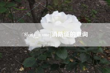 迁西消防证的查询