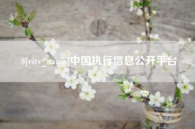 迁西中国执行信息公开平台