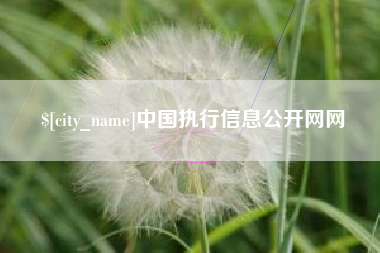 迁西中国执行信息公开网网