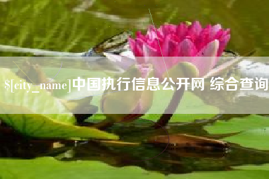 迁西中国执行信息公开网 综合查询