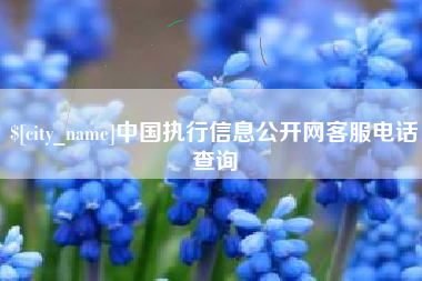 迁西中国执行信息公开网客服电话查询