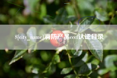 迁西消防产品cccf认证目录
