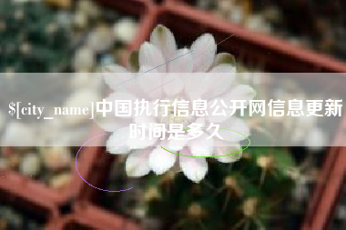 迁西中国执行信息公开网信息更新时间是多久