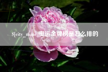 迁西奥运金牌榜是怎么排的