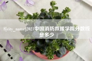 迁西2021中国消防救援学院分数线是多少