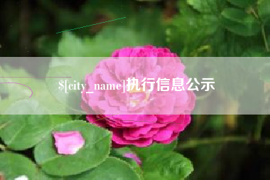 迁西执行信息公示