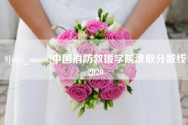 迁西中国消防救援学院录取分数线2020