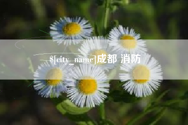 迁西成都 消防