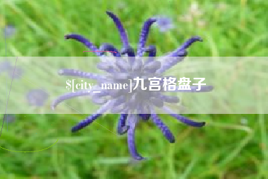 迁西九宫格盘子