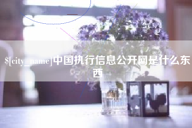 迁西中国执行信息公开网是什么东西