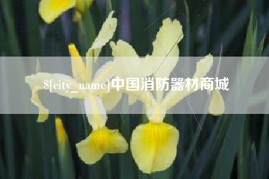迁西中国消防器材商城