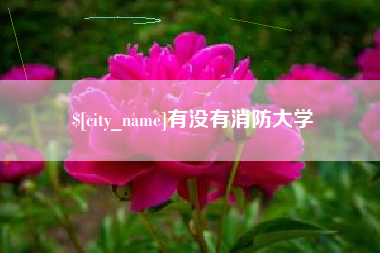迁西有没有消防大学