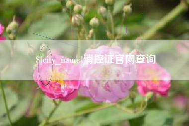 迁西消控证官网查询