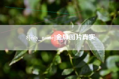 迁西金牌图片真实