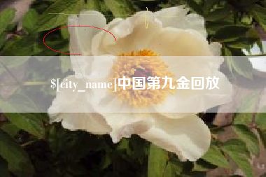 迁西中国第九金回放