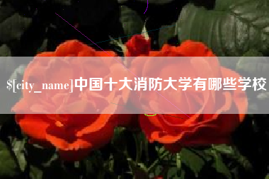 迁西中国十大消防大学有哪些学校